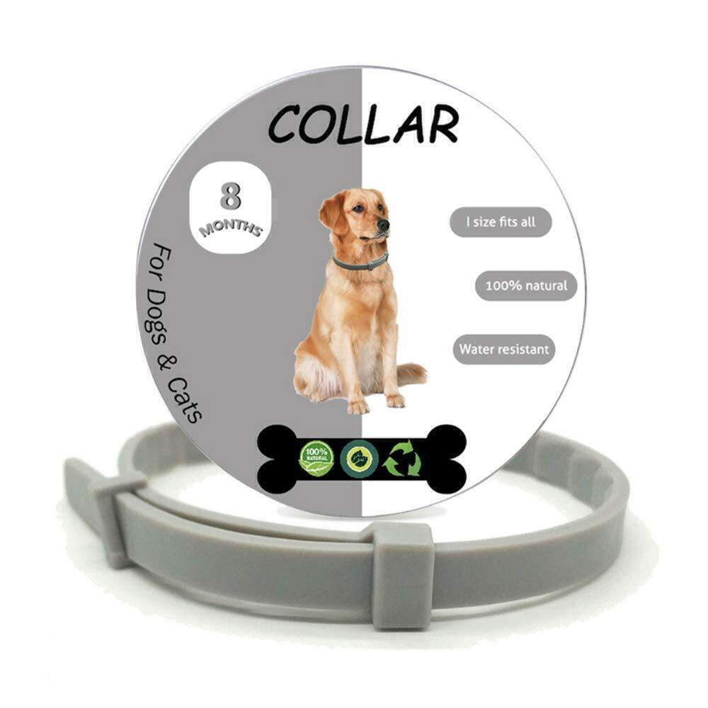 Collar Antipulgas para Perros y Gatos